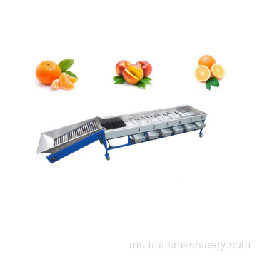 Garis dehydrator buah kering